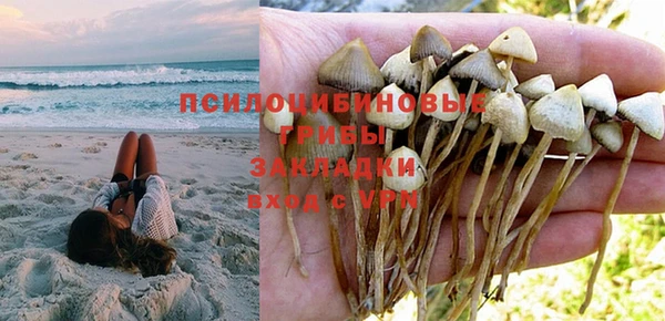 метадон Медвежьегорск