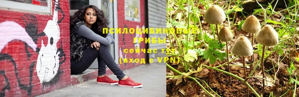 spice Мегион