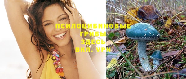 метадон Медвежьегорск