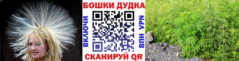 закладки  Монино  Бошки Шишки Bruce Banner 